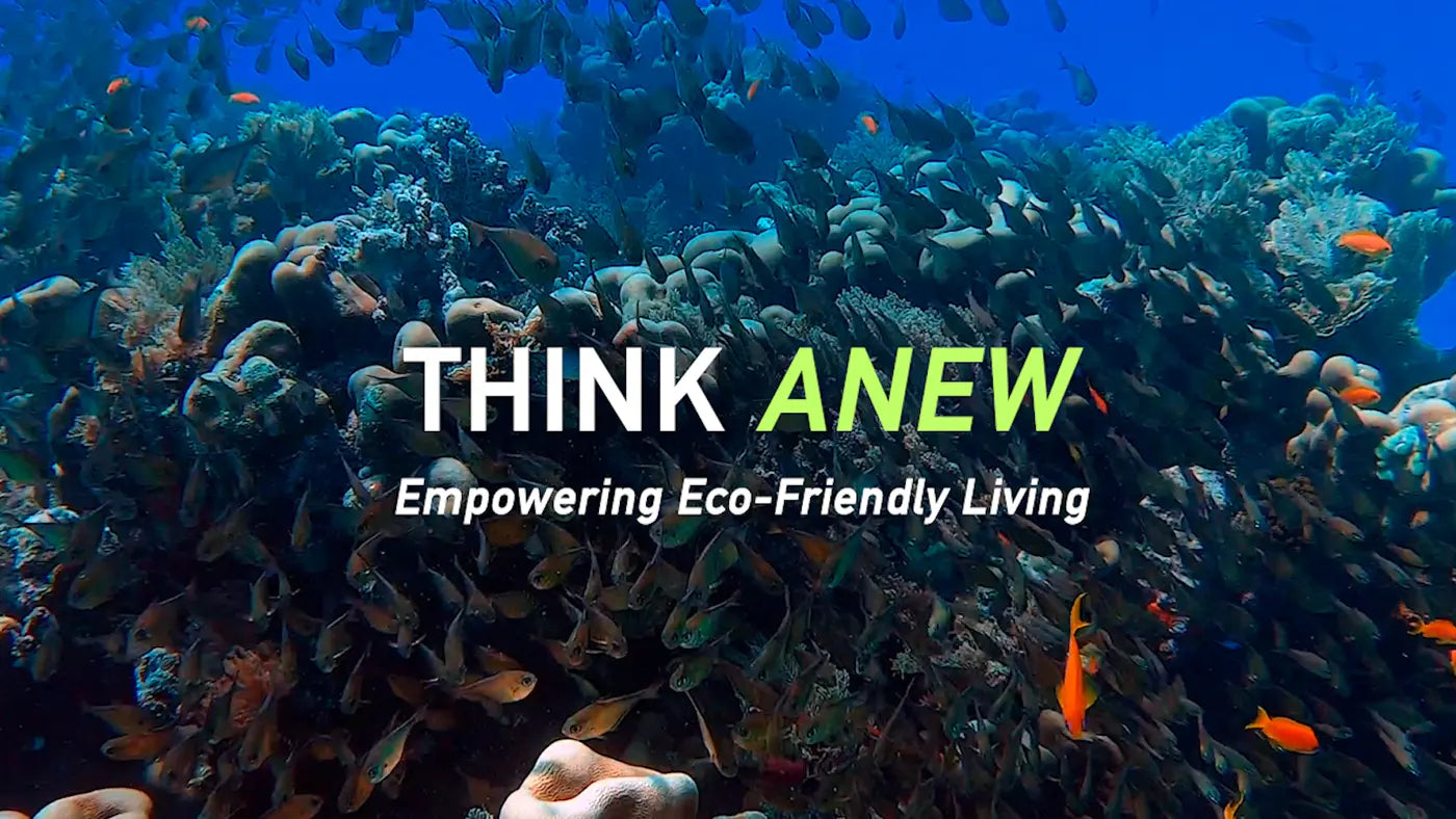 Empowering Eco-Friendly Living